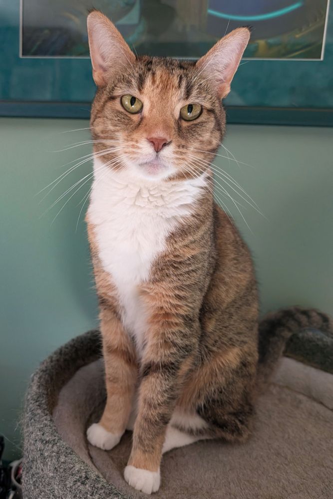 Spice is being very very patient with you right now. You know that, yes?