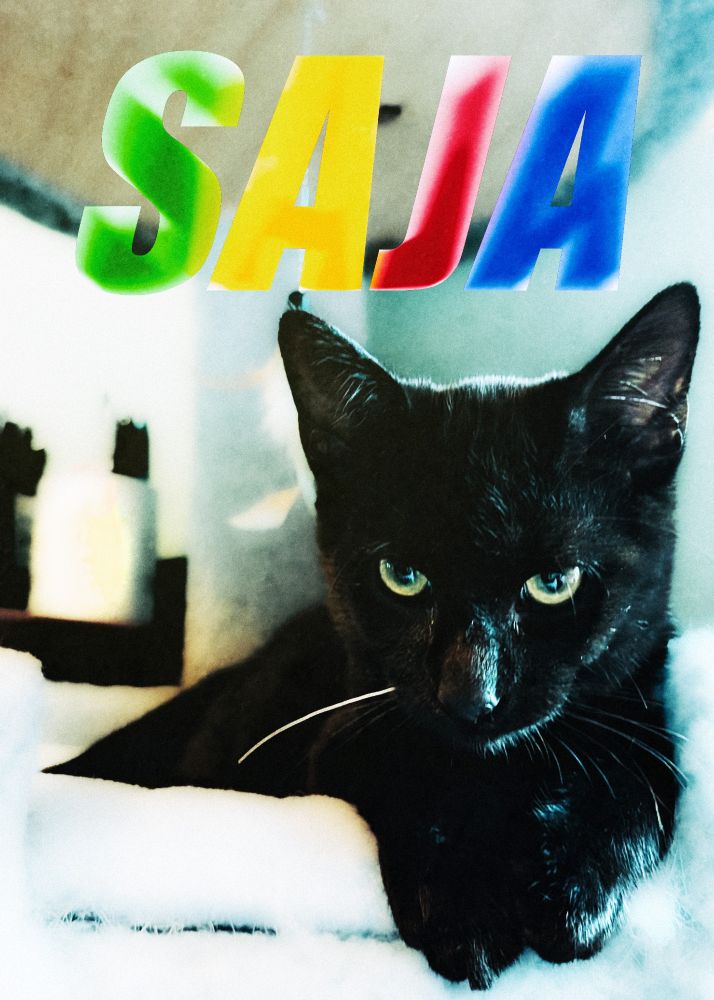 Saja the kitten, looking rather leonine while his name floats above him in bold letters