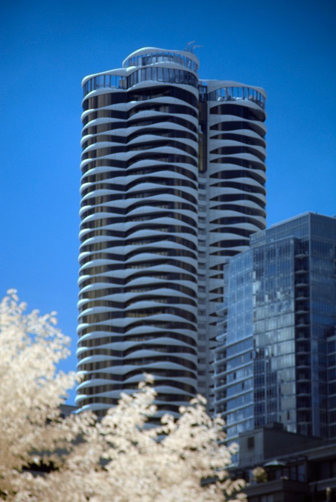 A tall tower with wavy balconies and decorations on it, with a shorter tower in front of it to the right and a pale yellow tree in front of it to the left.
