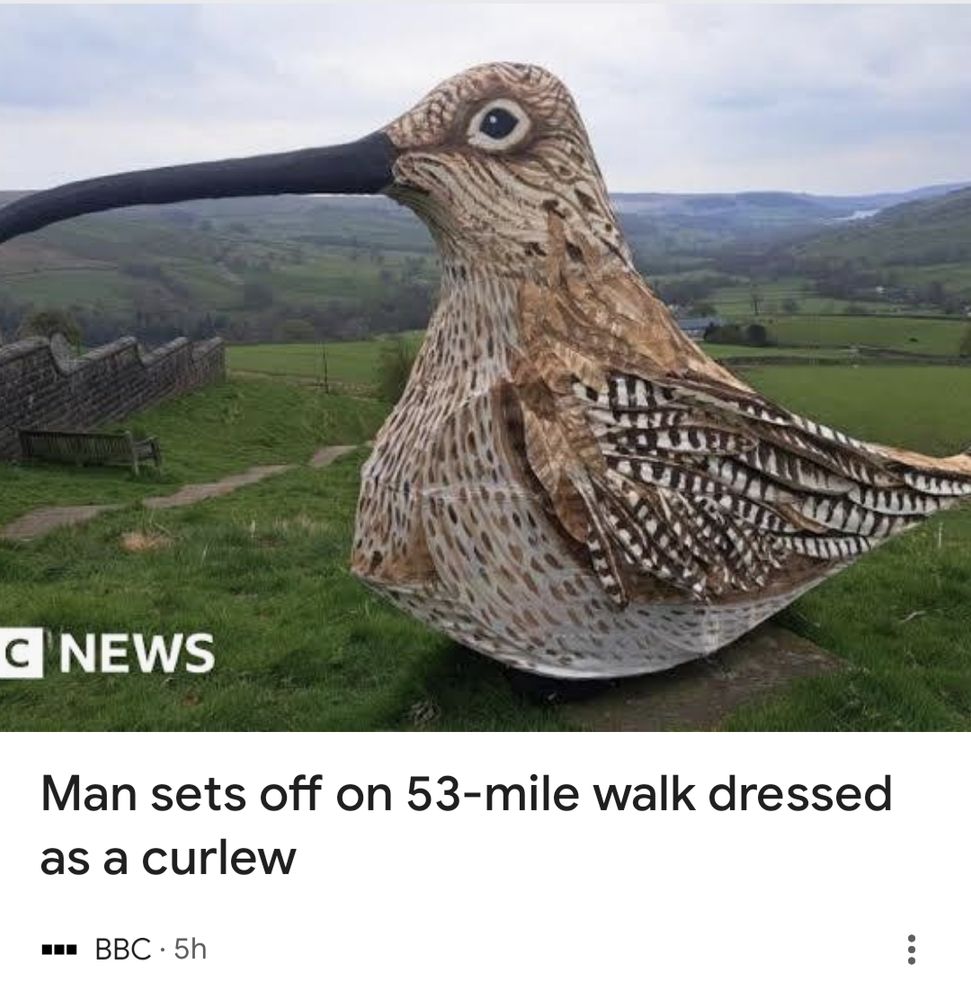 "Man sets off on 53-mile walk dressed as a curlew"

Source: https://www.bbc.co.uk/news/articles/cp91knr7ygpo