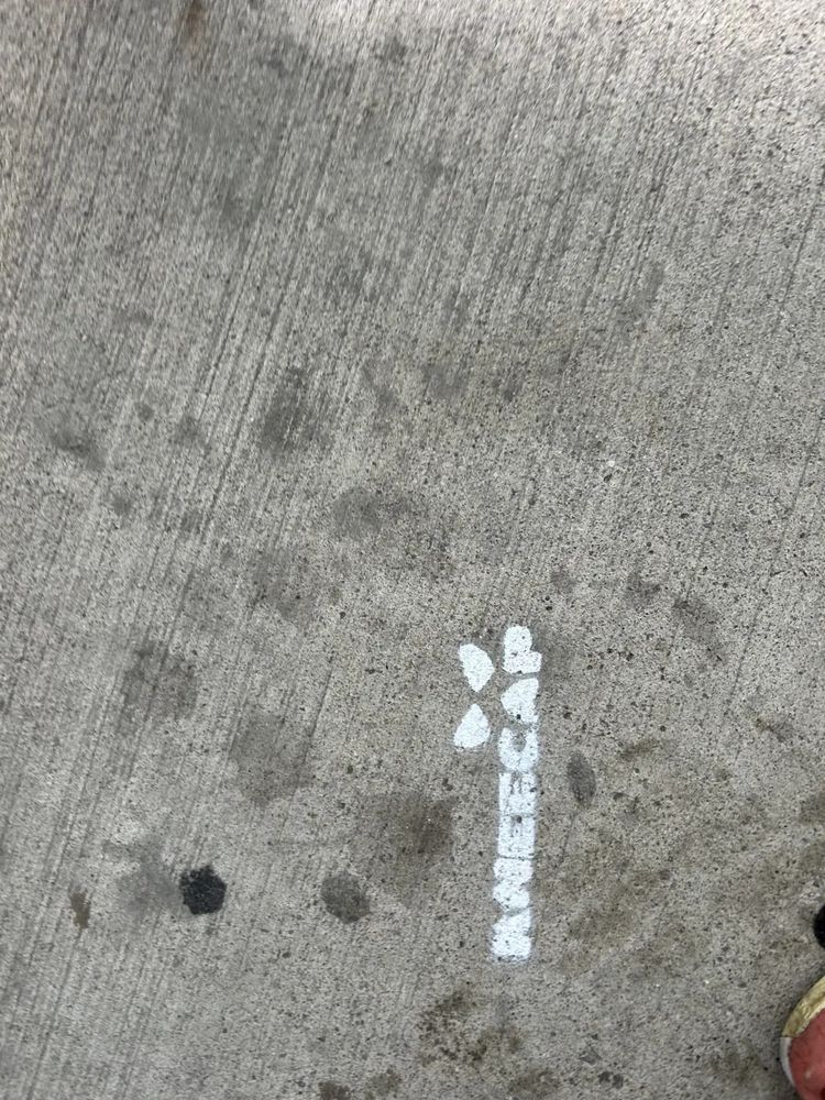 The logo for "Kneecap" spray painted on the sidewalk.