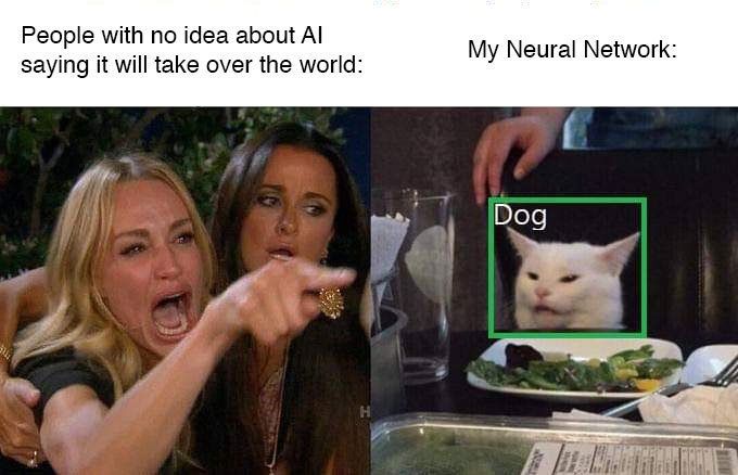 Angry women pointing at a cat meme.
On the left, an angry blond woman screams and points at a cat, with the caption "People with no idea about AI saying it will take over the world:"
On the right, a smiling cat at the dinner table with a green square around it, labeling the cat "Dog"