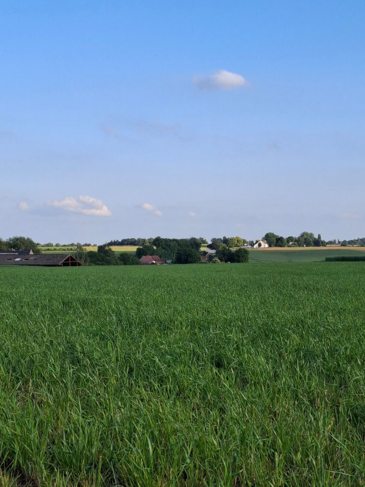 Waterloo view towards Belle Alliance seen from the right of rhe Mont Saint Jean crossroad