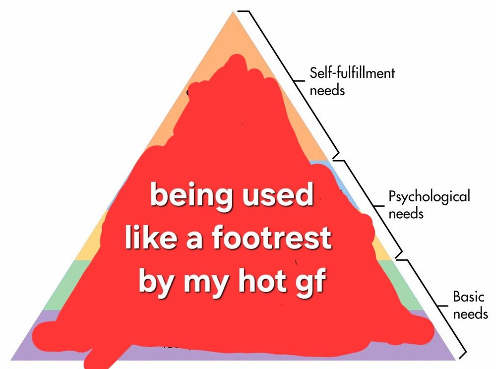 Hierarchy of needs triangle but its been changed so the only need is 'being used like a footrest by my hot gf'