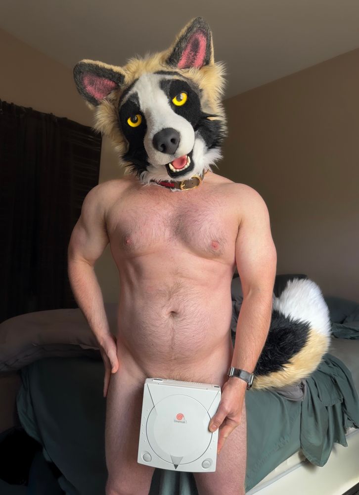 A male form stands in a bedroom, holding a Dreamcast over their waist in their left hand, their right on their hip, totally nude except for a cute, panda shepherd fursuit head 