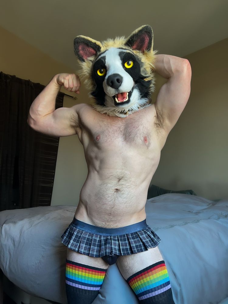 A male form flexes their right bicep in a bedroom, their left behind their head as they wear a pair of rainbow striped black thigh high socks and a short black and grey checkered shirt, their head that of a cute, panda shepherd 