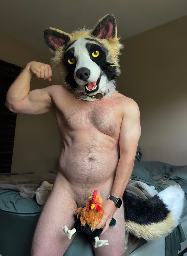 a male form stands naked in a bedroom, flexing their right arm whilst their left holds a fat cock here their crotch, wearing just a cute, panda shepherd fursuit head 