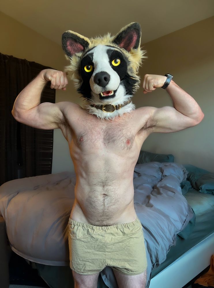 a male form flexes both arms in a bedroom, wearing an olive colored pair of shorts, whilst their head is wearing a cute panda shepherd fursuit head 