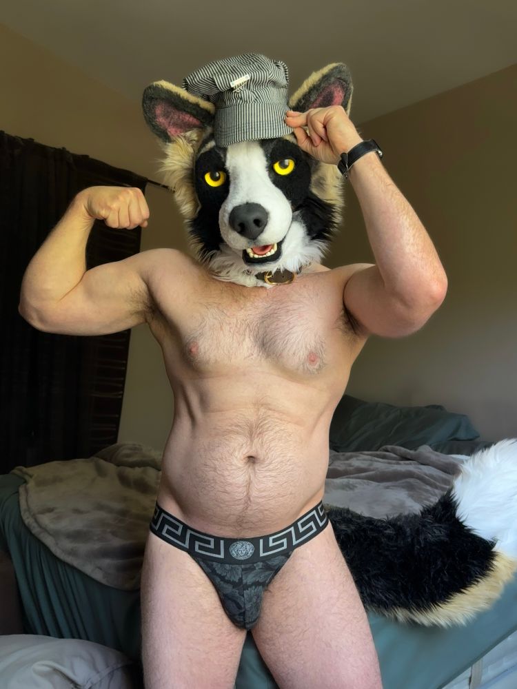 A male form stands in a black and grey jockstrap, flexing their right arm in a bedroom, their left holding the brim of a railroad engineer’s hat they’re wearing atop their cute, panda shepherd fursuit head 