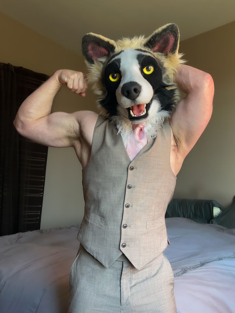 A male form flexes their right arm in a bedroom, their left behind their cute, panda shepherd fursuit head, wearing a pair of dress slacks and a suit vest and pink tie 