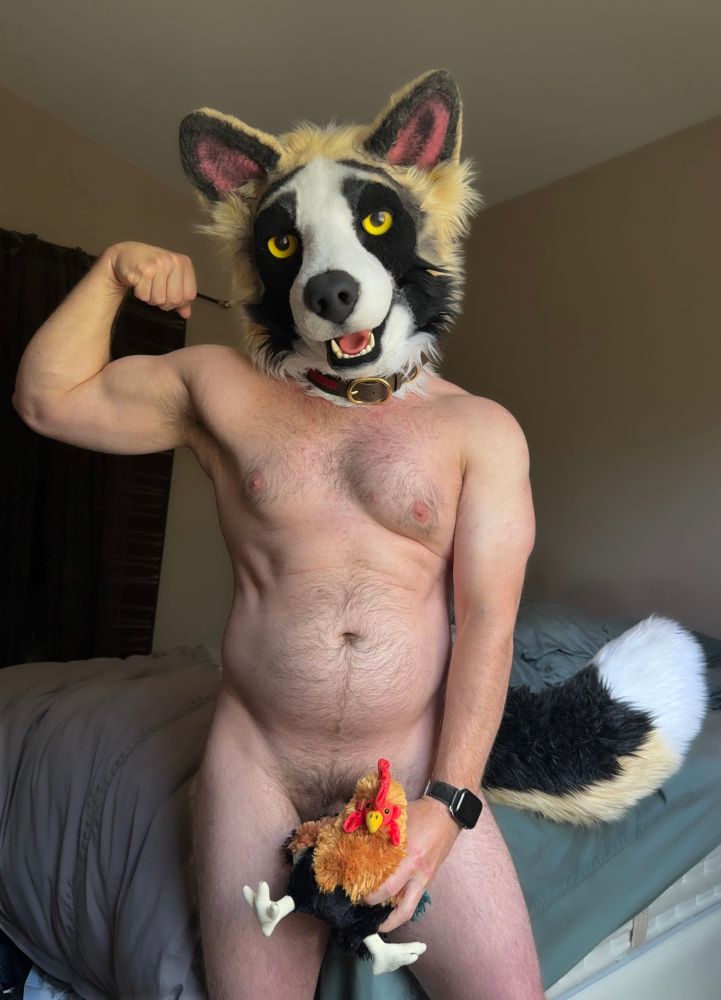 A male form flexes their right arm in a bedroom in the nude, holding a plump, stuffed rooster over their waist, wearing just a cute, panda shepherd fursuit head 