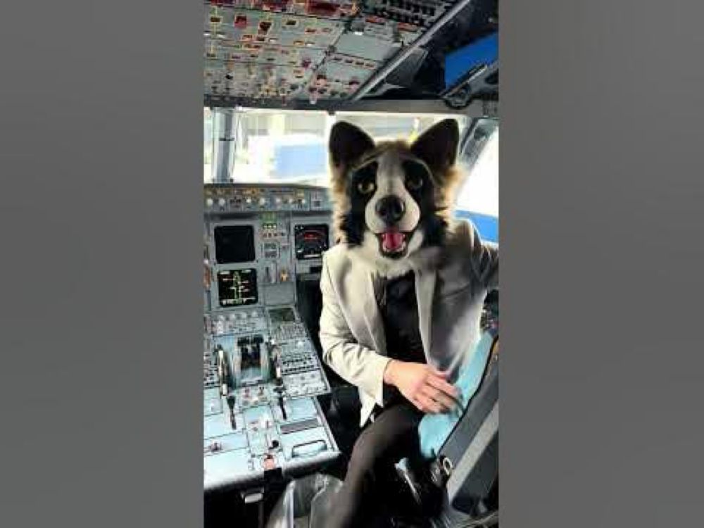 if you’re flying Airbus now because of Boeing’s problems, I have some bad news… ☝️🐶✈�...