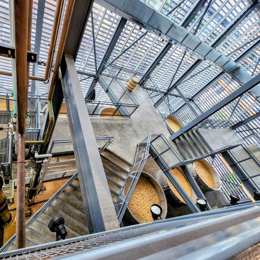 Rabbit Hole distillery scaffolding and fermenters from above