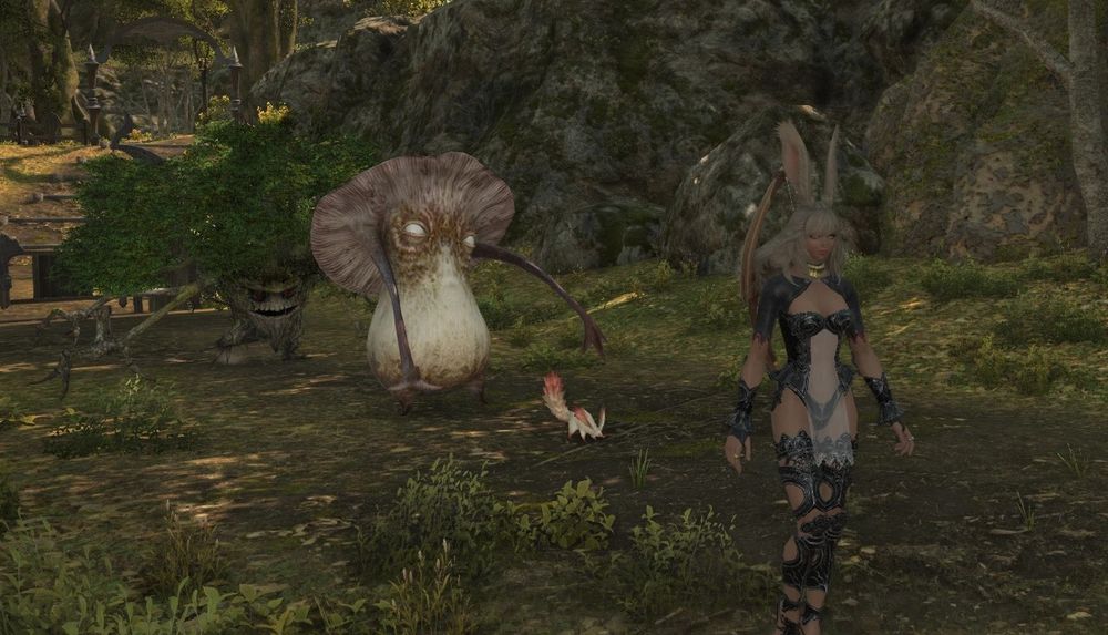 Screenshot of FINAL FANTASY XIV Online, with a player character getting chased by various Central Shroud enemies while running away.
