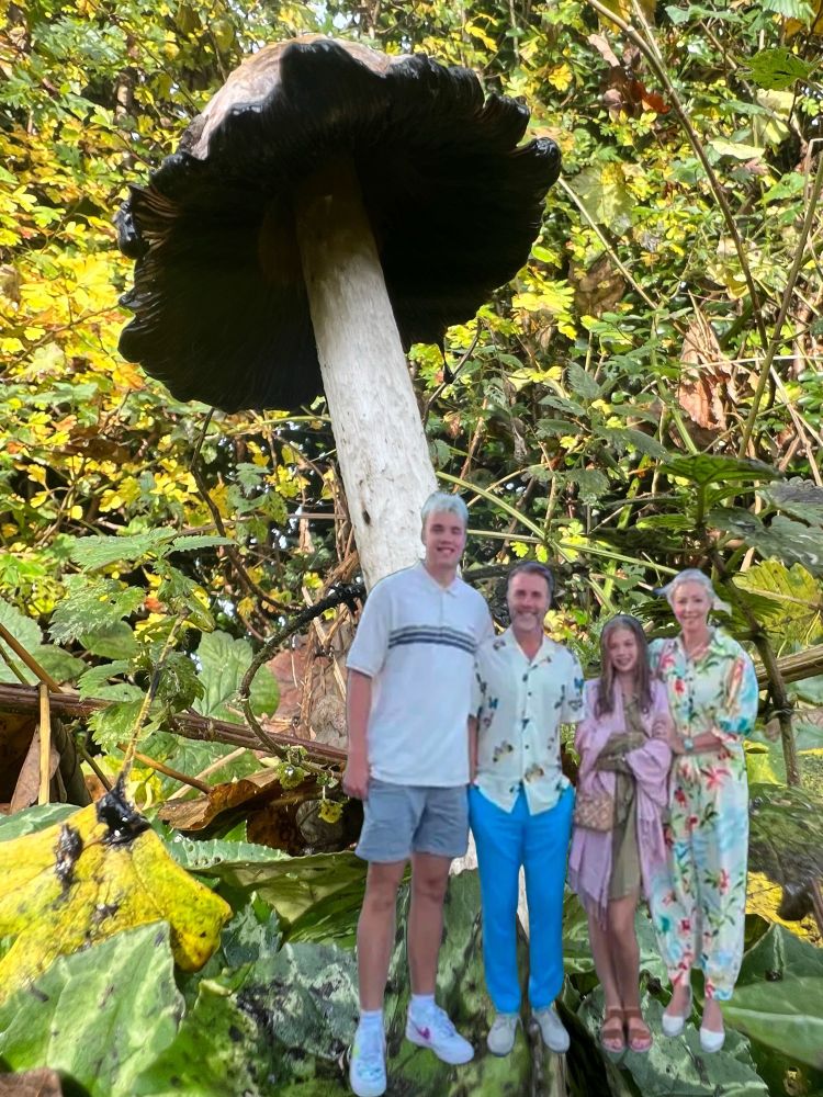 Mushroom with Gary Barlow’s family for perspective. Meme. 