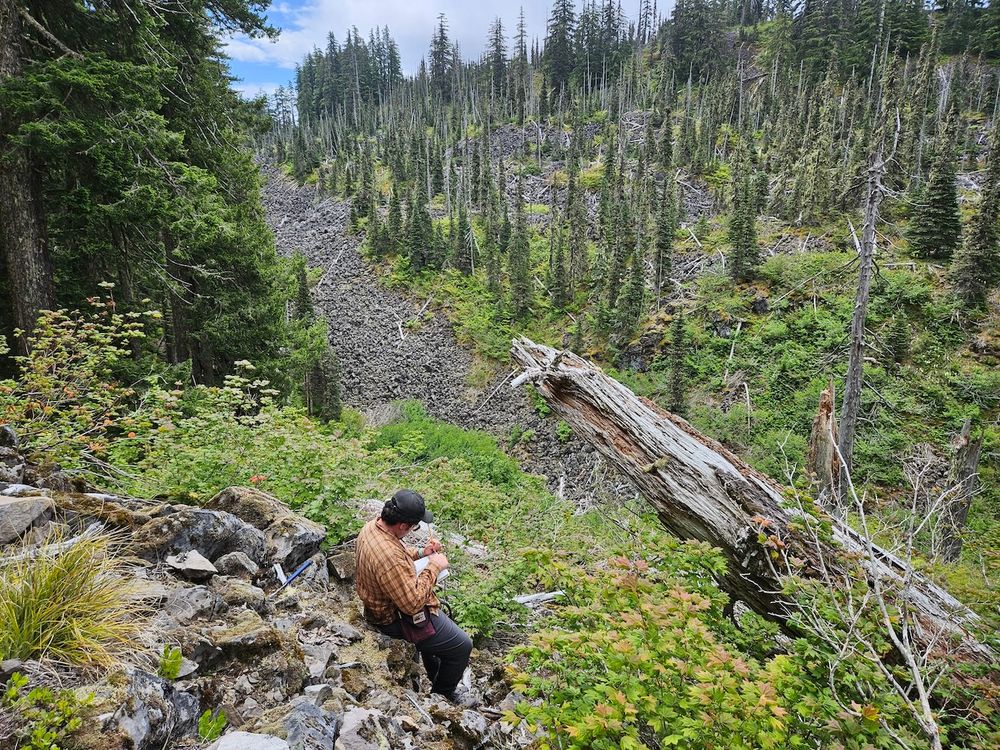 interns stands facing the right side of the screen, leaning against a pile of rocks while holding a notebook in left and writing with a pen in right. a rocky pile sits in the lower left corner of the frame, with a dead log sticking out from the lower right corner and scattered trees an a hill throughout the background.