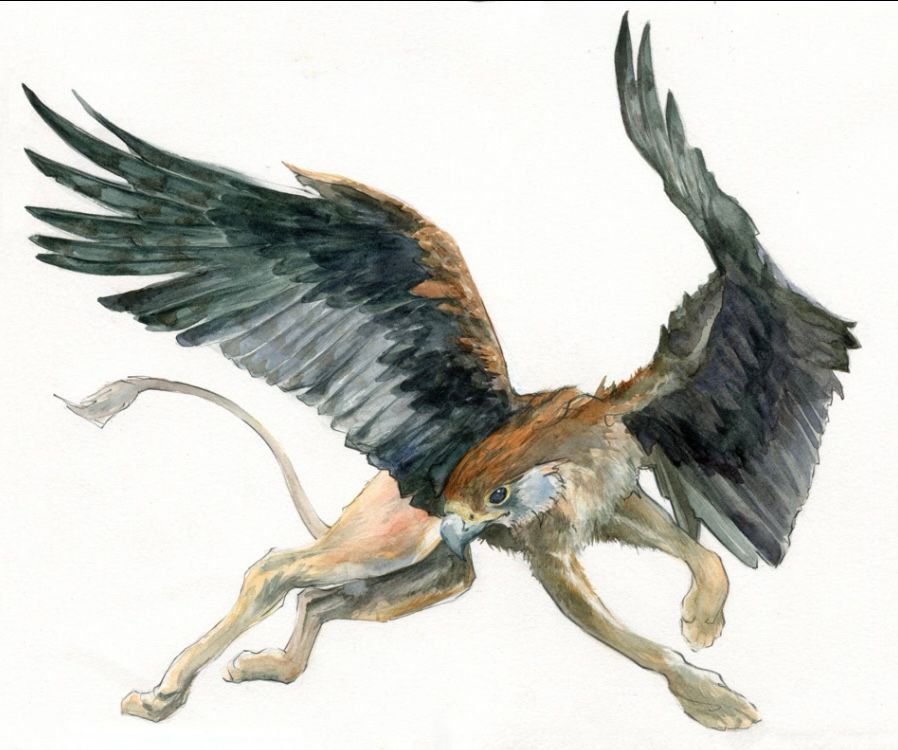 Watercolour painting of a griffin with vaguely kestrel head and dark wings raised, and leaping slender puma body 