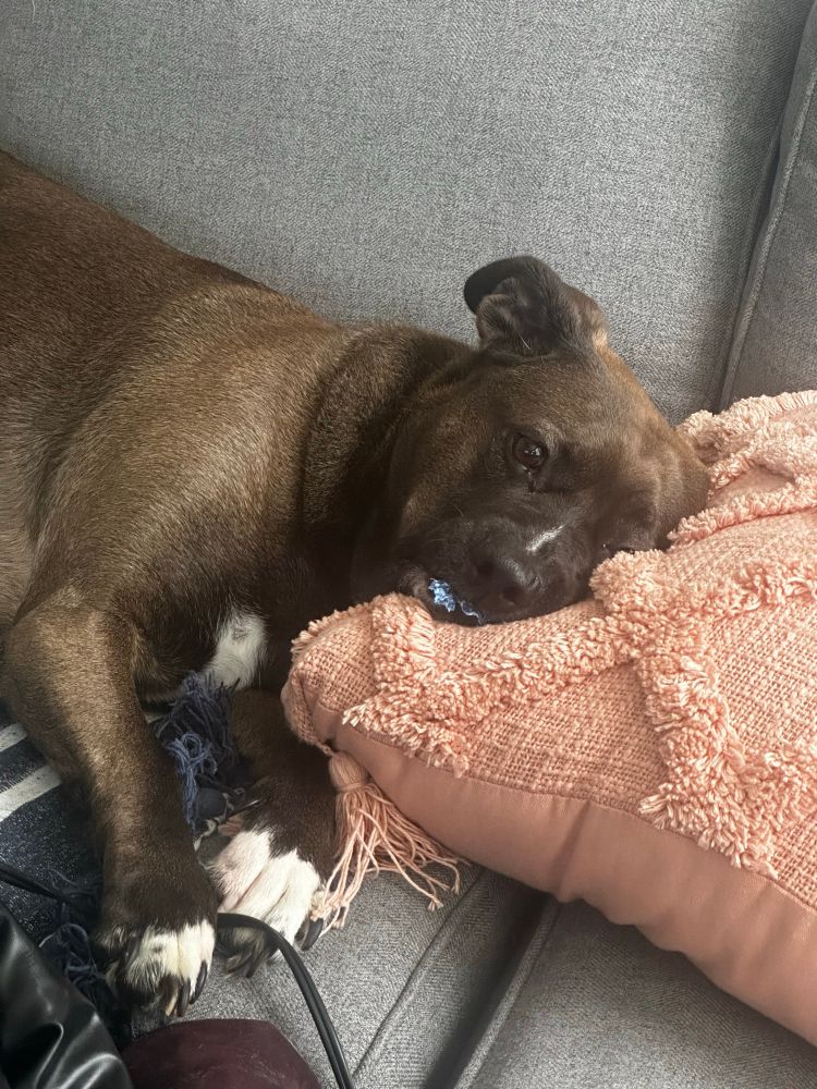 The sweetest girl ever 😍