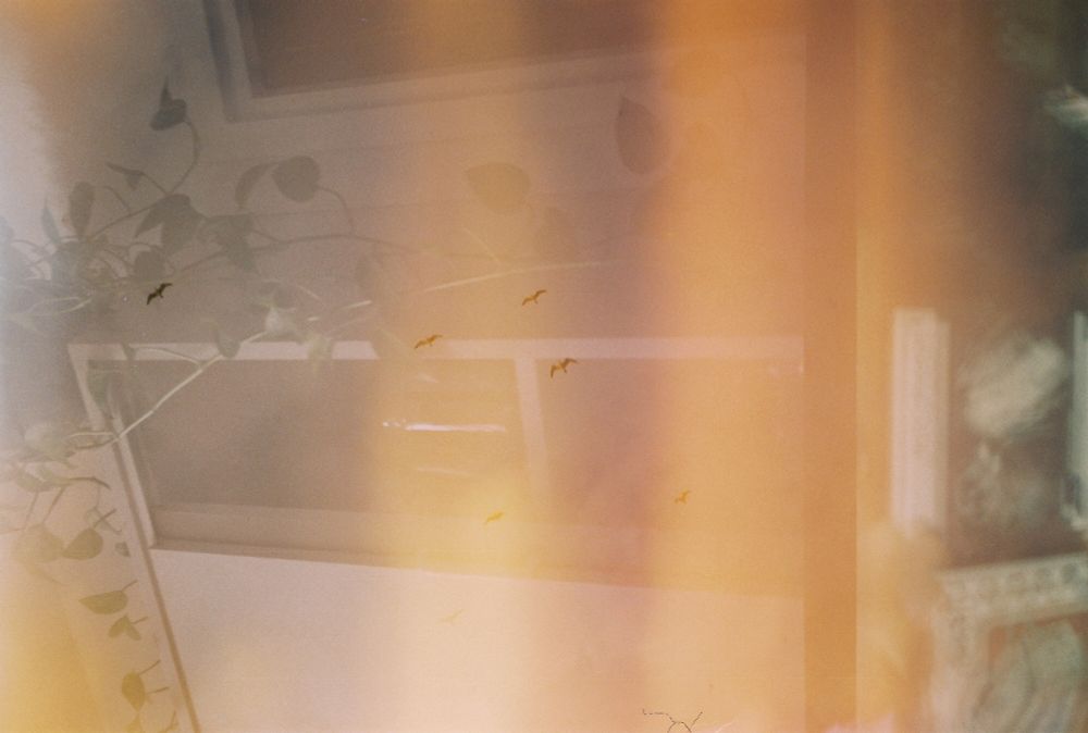 1/1 film photography :-) 