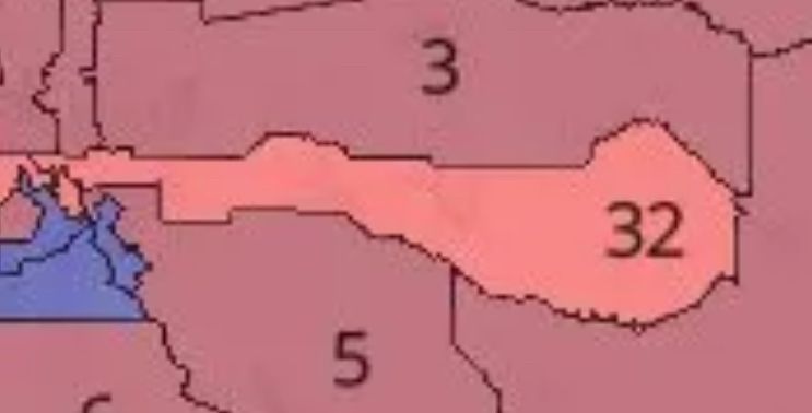 The newly drawn/gerrymandered Texas Congressional District 32, which is a long horizontal strip with a head-like bulge that makes it look not unlike the silhouette of Saddam
