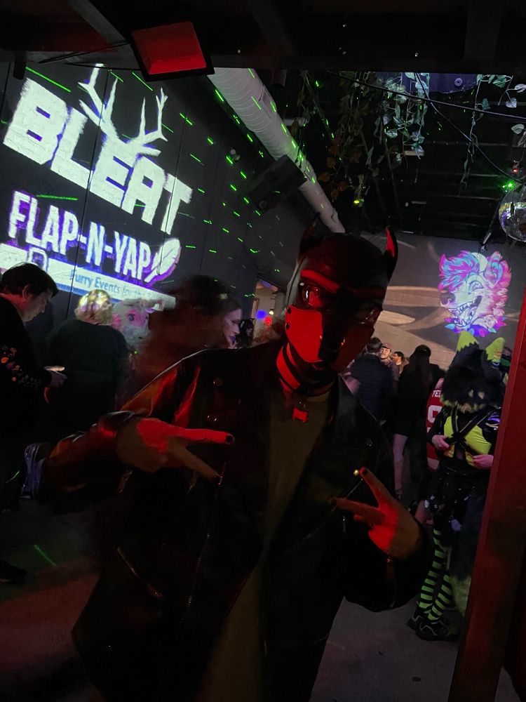 person in a red pup hood illuminated by red light at a rave.  a projection on the wall reads “BLEAT / FLAP-N-YAP.”
