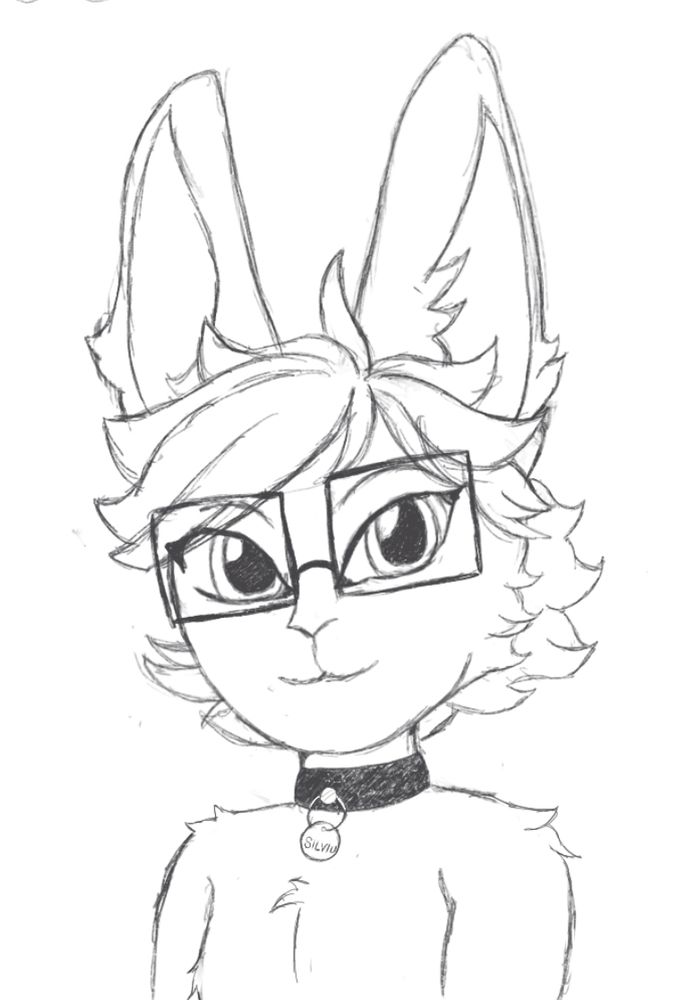 Anthro bunny with fluffy hair and a collar that reads "Silviu"