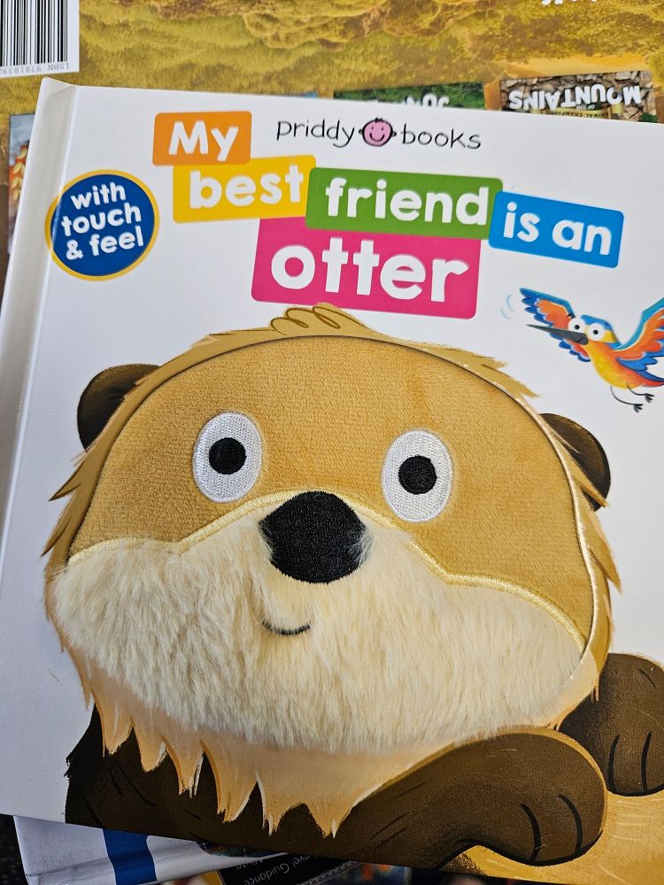 A children's book called My Best Friend Is An Otter