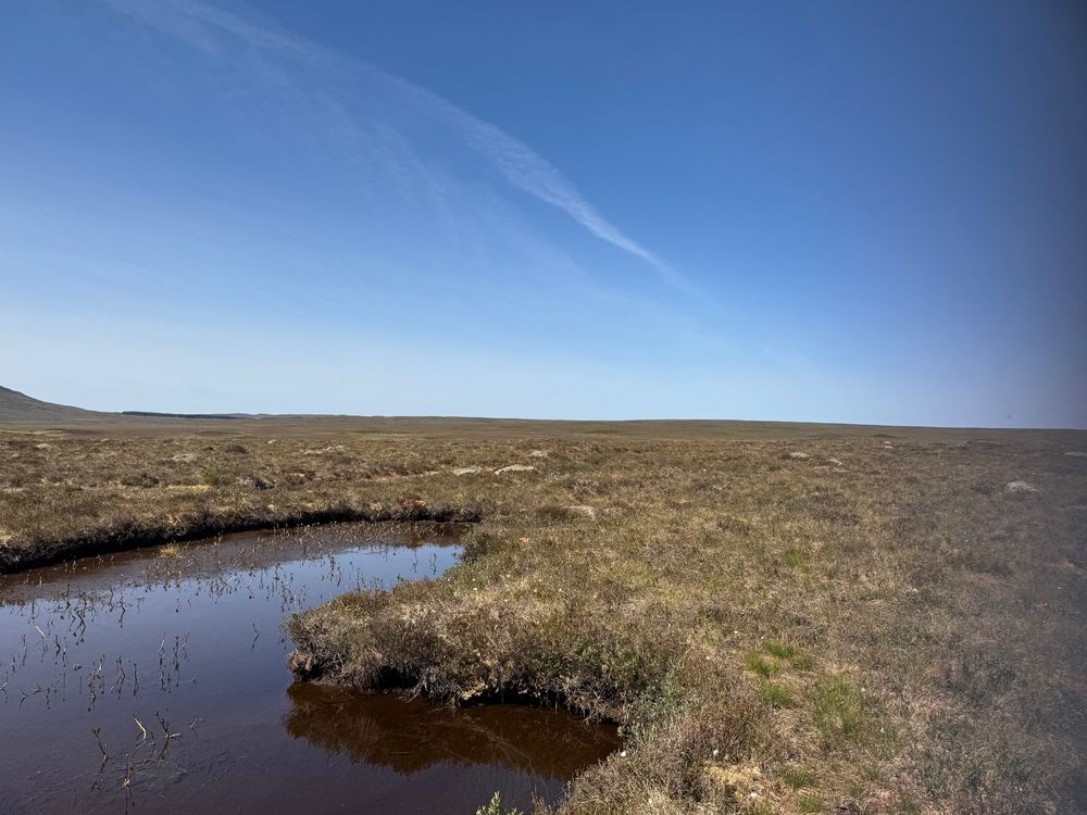 The peatland at the Forsinard Flows RSPB site