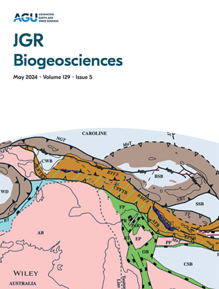 Carbon Stocks and Fluxes From a Boreal Conifer Swamp: Filling a Knowledge Gap for Understanding the Boreal C Cycle