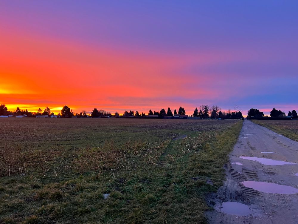 Ein Feldweg führt durch eine weitläufige Landschaft, die von einem spektakulären Sonnenuntergang erleuchtet wird. Der Himmel zeigt ein beeindruckendes Farbspiel aus leuchtendem Orange, intensivem Rot und sanften Violett- und Blautönen. Am Horizont sind die dunklen Silhouetten von Bäumen und Häusern zu sehen. Pfützen auf dem Weg spiegeln die Farben des Himmels wider, während das umgebende Gras und die Felder eine natürliche, ruhige Atmosphäre vermitteln.