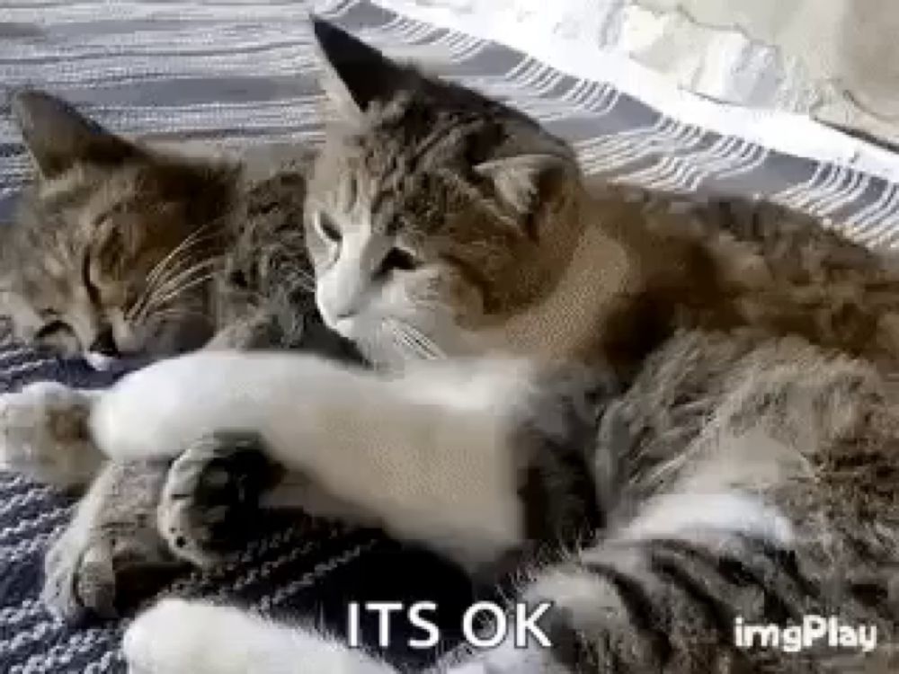 Its Ok Comfort GIF