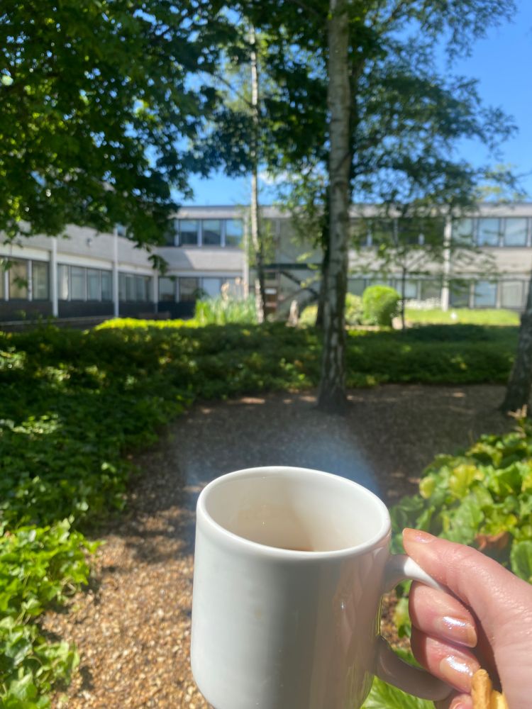 Cup of tea held in front of a university courtyard with trees and bushes 