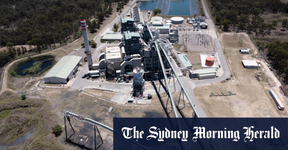 Would restarting Redbank Power Station in the Hunter Valley as a biomass reactor be net zero or is this a “convenient untruth”?