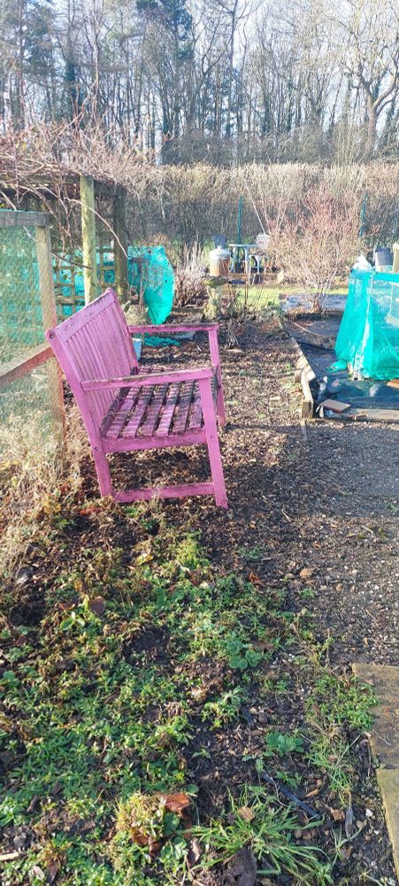 A view showing pink painted bench and vegetable beds with netting frames. 