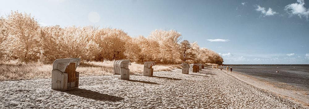 Color infrared image of a beach with some beach baskets and small trees in the background.
