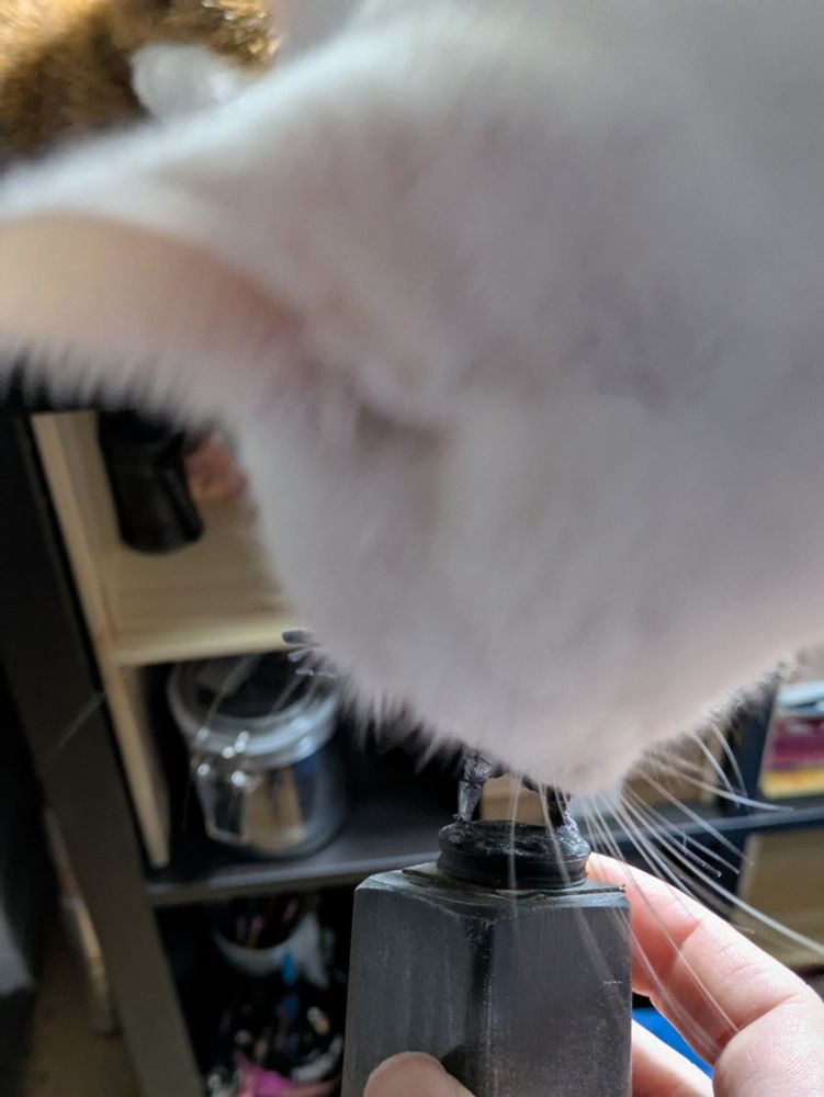 The back of Luna's head, a pure white cat, legs of the Dungeons and Dragons esque miniature just barely visible a top the painting block.  Luna's head is blurry, indicating movement as she has investigated the fantasy mini thoroughly.