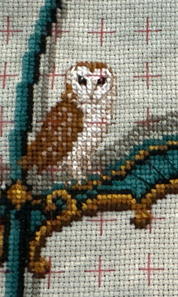A cross stitch owl from the first portion of Lola Crow’s Extraordinary Birds SAL project. 