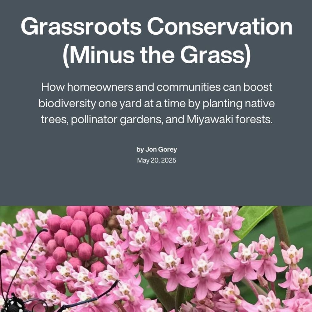 Grassroots Conservation (Minus the Grass)
How homeowners and communities can boost biodiversity one yard at a time by planting native trees, pollinator gardens, and Miyawaki forests.

by Jon Gorey

May 20, 2025

A photo of pink flowers