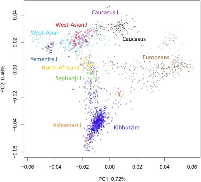 genetic closeness of Jewish people
