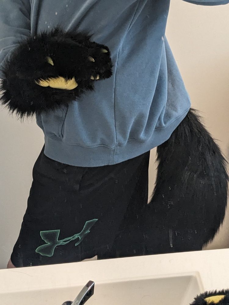 me wearing cat paws and a cat tail
