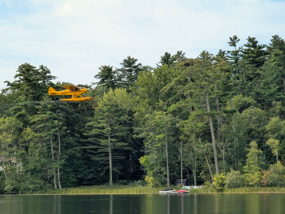 A small orange seaplane that has just taken off from a lake. The plane is at tree height. 