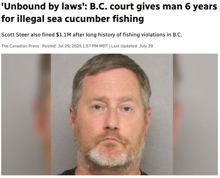 'Unbound by laws': B.C. court gives man 6 years for illegal sea cucumber fishing
Scott Steer also fined $1.1M after long history of fishing violations in B.C.
The Canadian Press · Posted: Jul 29, 2025 1:57 PM MDT | Last Updated: July 29
