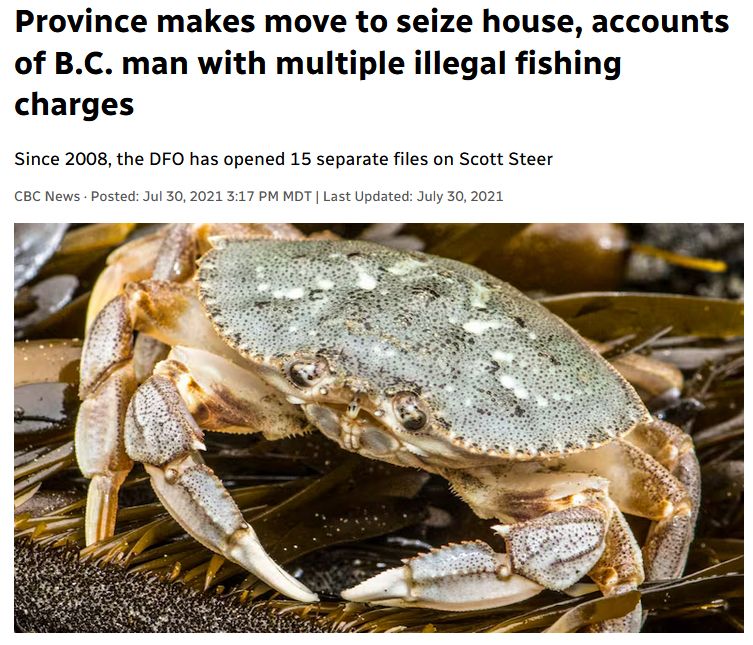 Province makes move to seize house, accounts of B.C. man with multiple illegal fishing charges
Since 2008, the DFO has opened 15 separate files on Scott Steer
CBC News · Posted: Jul 30, 2021 3:17 PM MDT | Last Updated: July 30, 2021