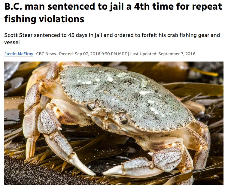 B.C. man sentenced to jail a 4th time for repeat fishing violations
Scott Steer sentenced to 45 days in jail and ordered to forfeit his crab fishing gear and vessel
Justin McElroy · CBC News · Posted: Sep 07, 2016 9:30 PM MDT | Last Updated: September 7, 2016