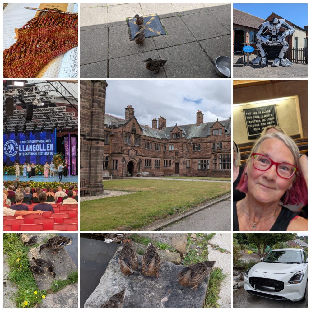 Grid of 9 photos showing a round up of what I got up to in July 2025. 