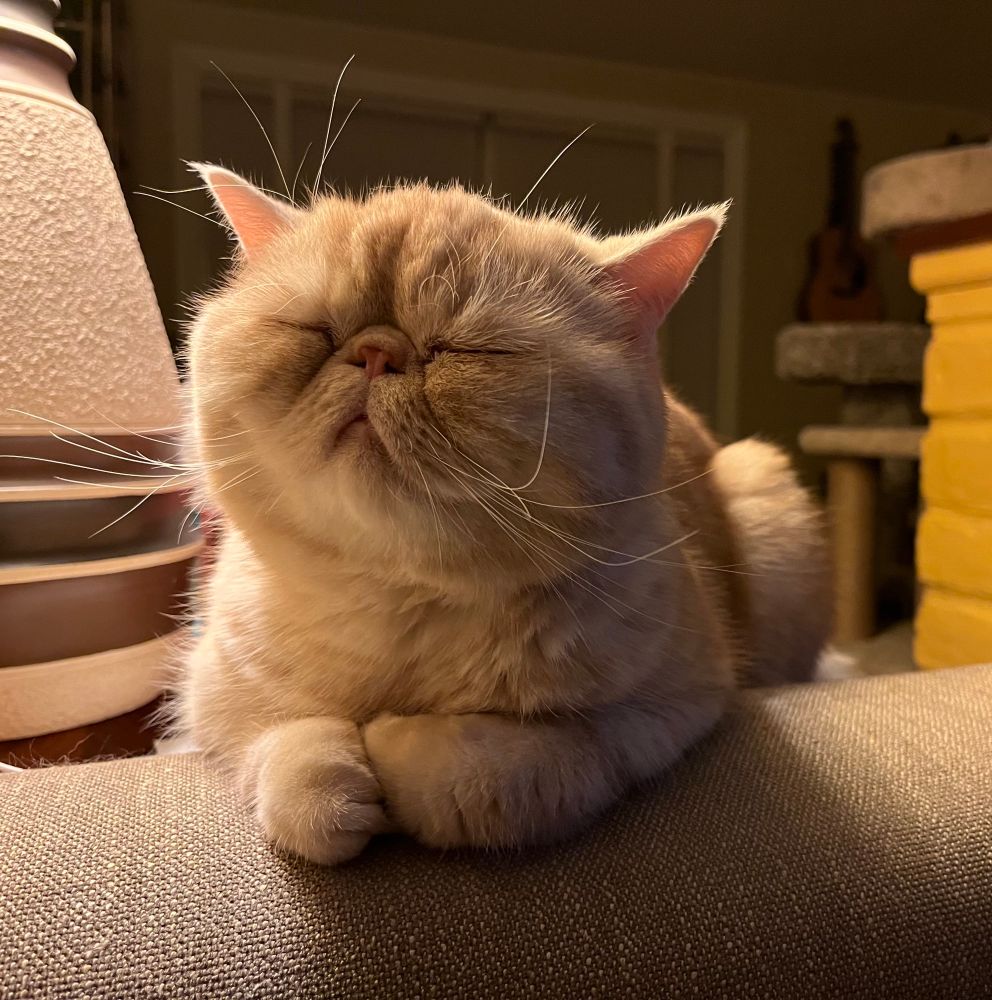 Milo at his cutest