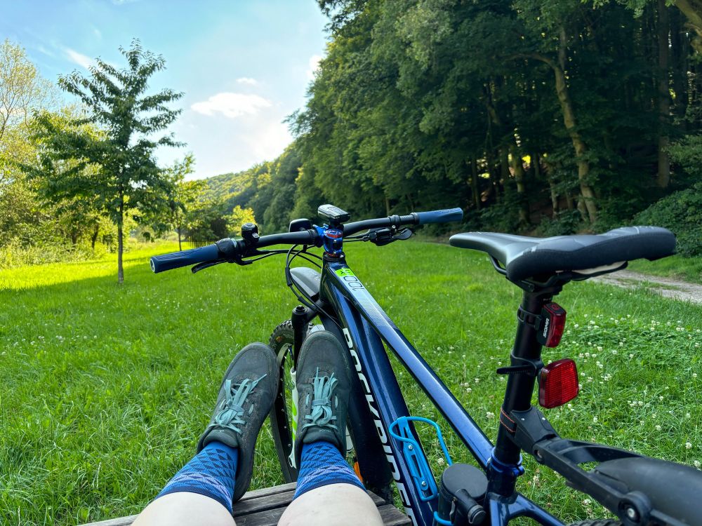 Man sieht mich aus meiner Perspektive am Waldrand auf einer Liegebank sitzen, meine Unterschenkel und Füße sind noch zu sehen. Ich trage blau gemusterte Socken und dunkelgrüne Schuhe. Rechts von mir steht mein blaues Mountainbike. Der Blick geht auf eine herrlich grüne Wiese mit weißen Blümchen, links ist Sonne zu sehen, recht Laubwald und ein Feldweg.