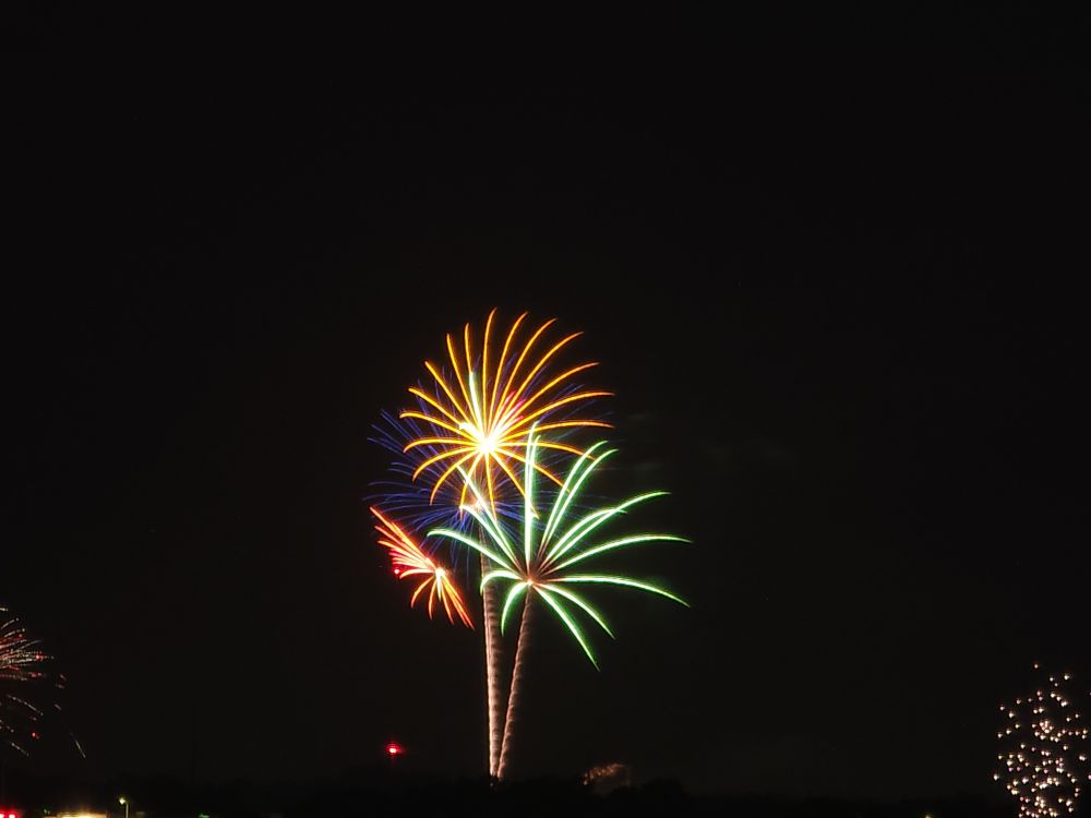 fireworks that look like flowers