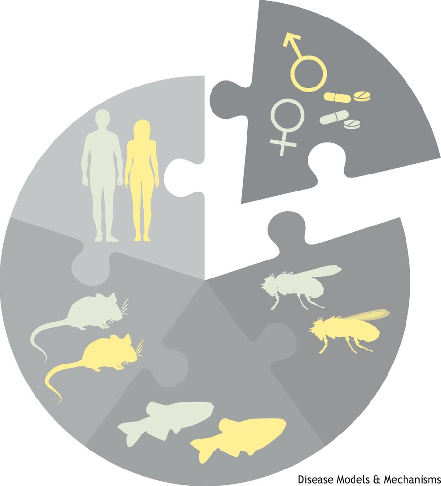 A circle divided into five puzzle pieces. Four of these puzzle pieces each with an image of a pair of humans, mice, fish and fruitflies.  On a separate puzzle piece, there are sex-specific symbols and pills for medicine. 
