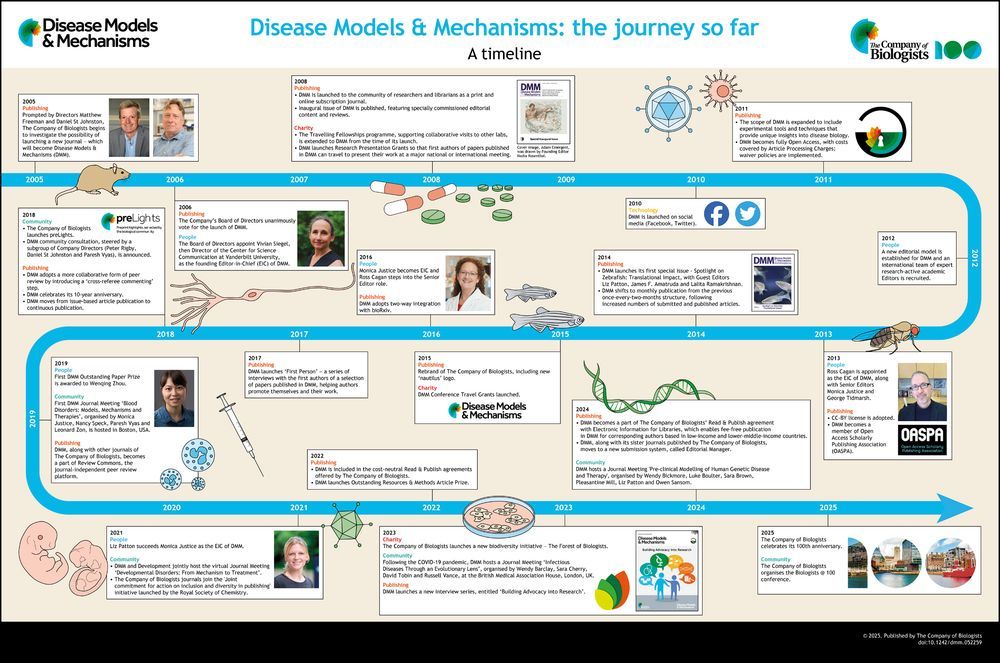 A timeline schematic of DMM's journey from 2005 until 2025.